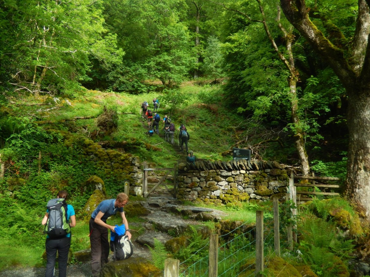 Climbing Cadair Idris (Part&nbsp;1)