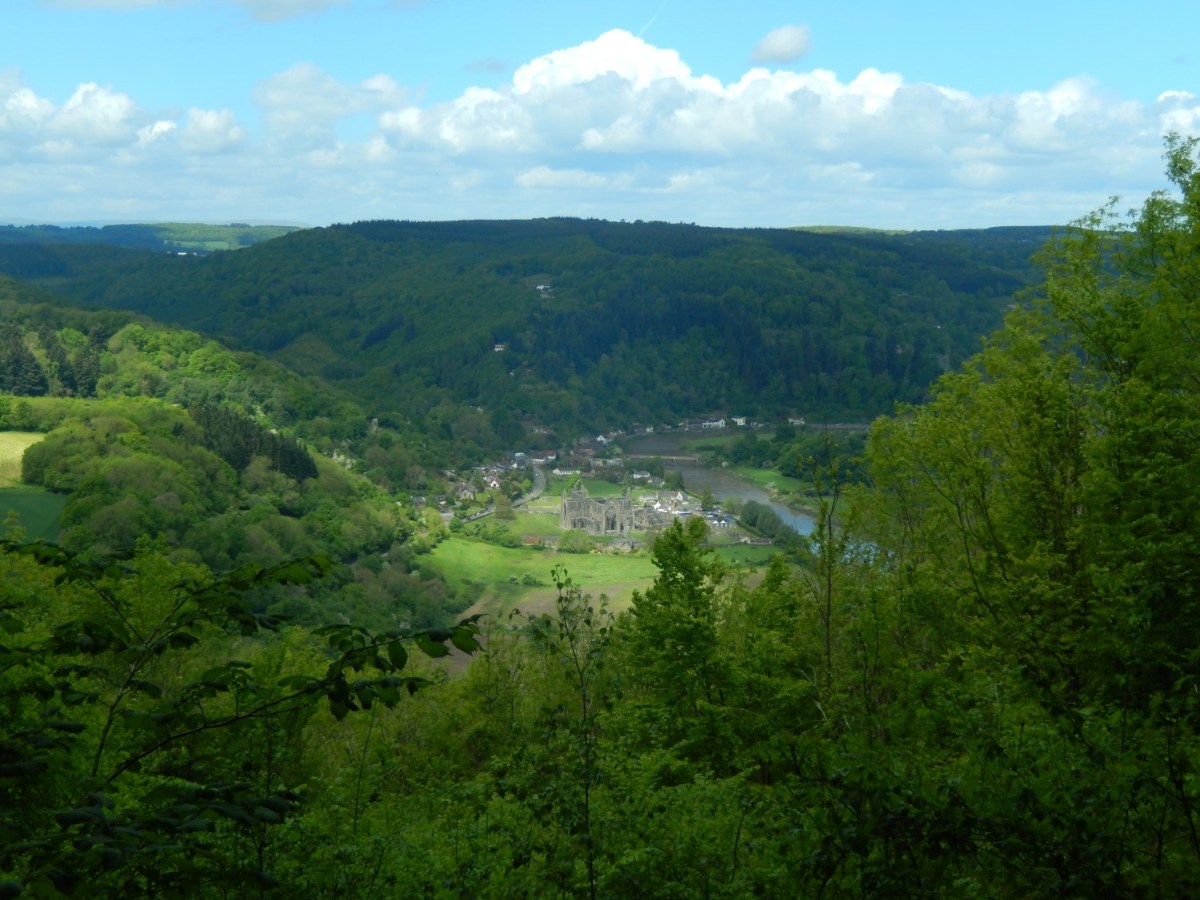 A Wye Valley&nbsp;Walk