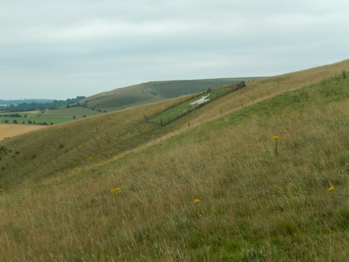 White Horse Trail – Walk 4 of 7 (Part&nbsp;1)