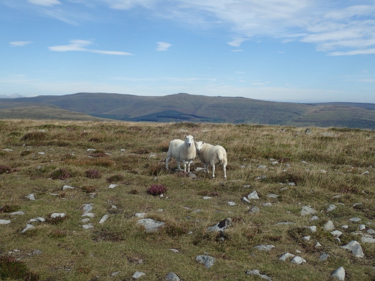 Big Black Mountains Hike (Part&nbsp;1)