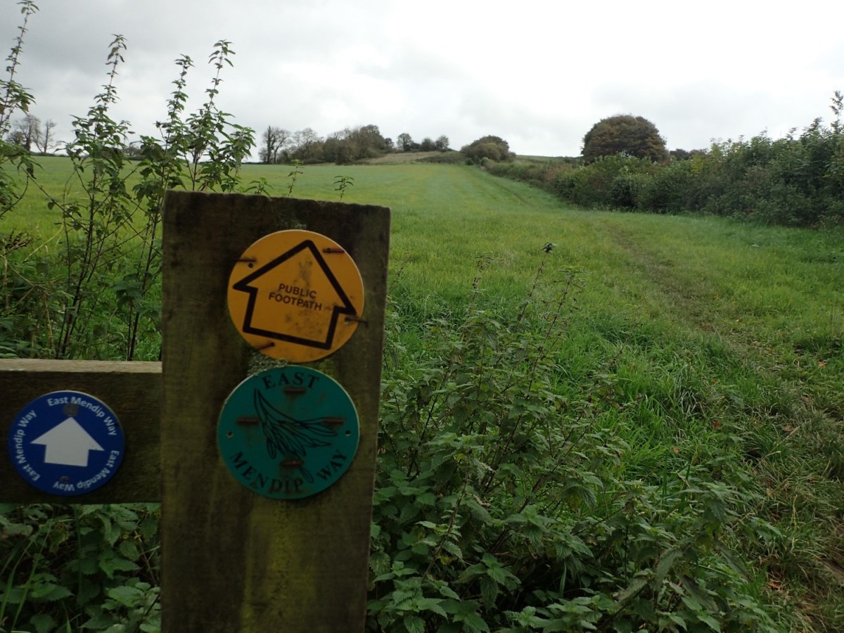 East Mendip Way: Croscombe to Cranmore&nbsp;Tower