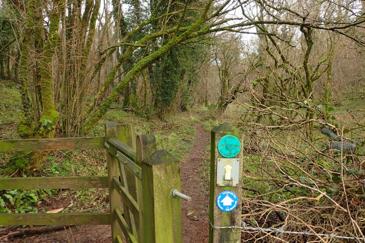 East Mendip Way: Cranmore Tower to&nbsp;Frome