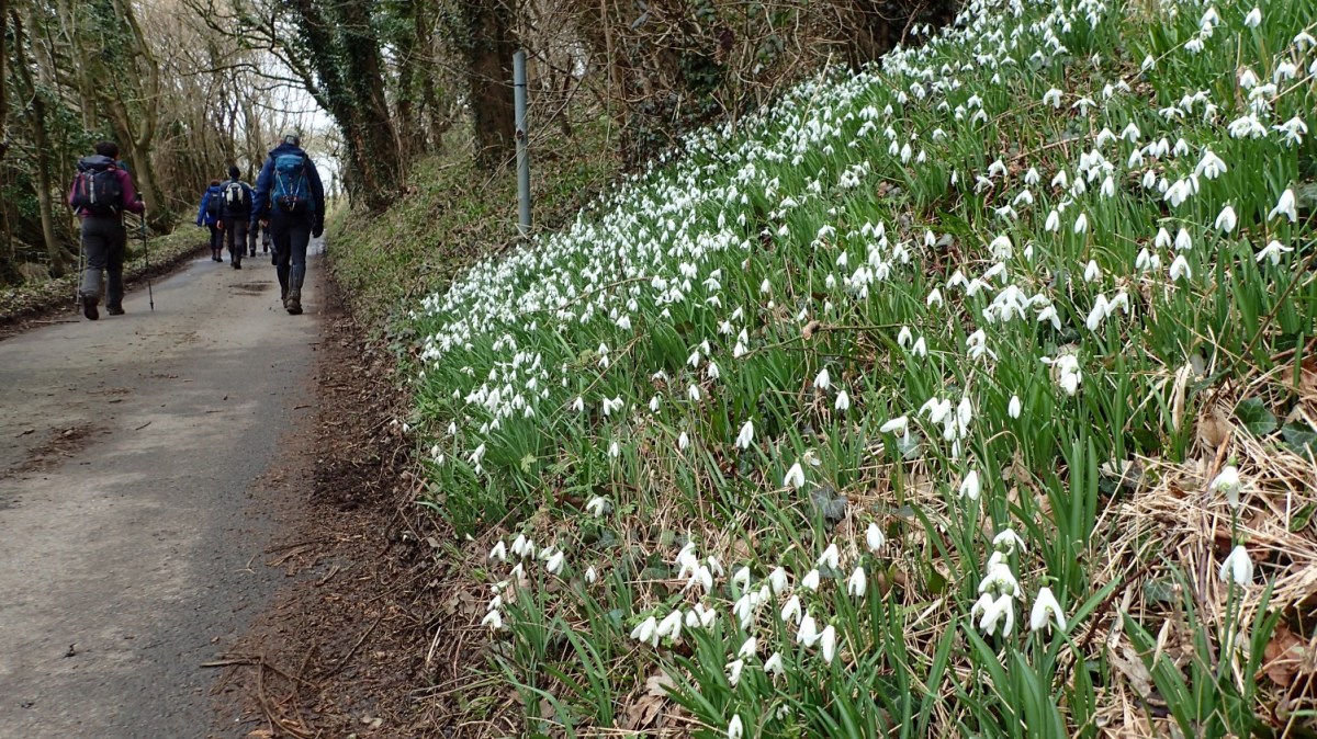 Castle Combe Walk – February&nbsp;2018