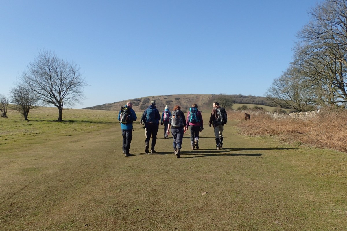 Walk Leading: Axbridge to Crook&nbsp;Peak