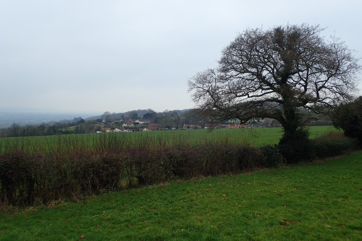 Wrington and Redhill