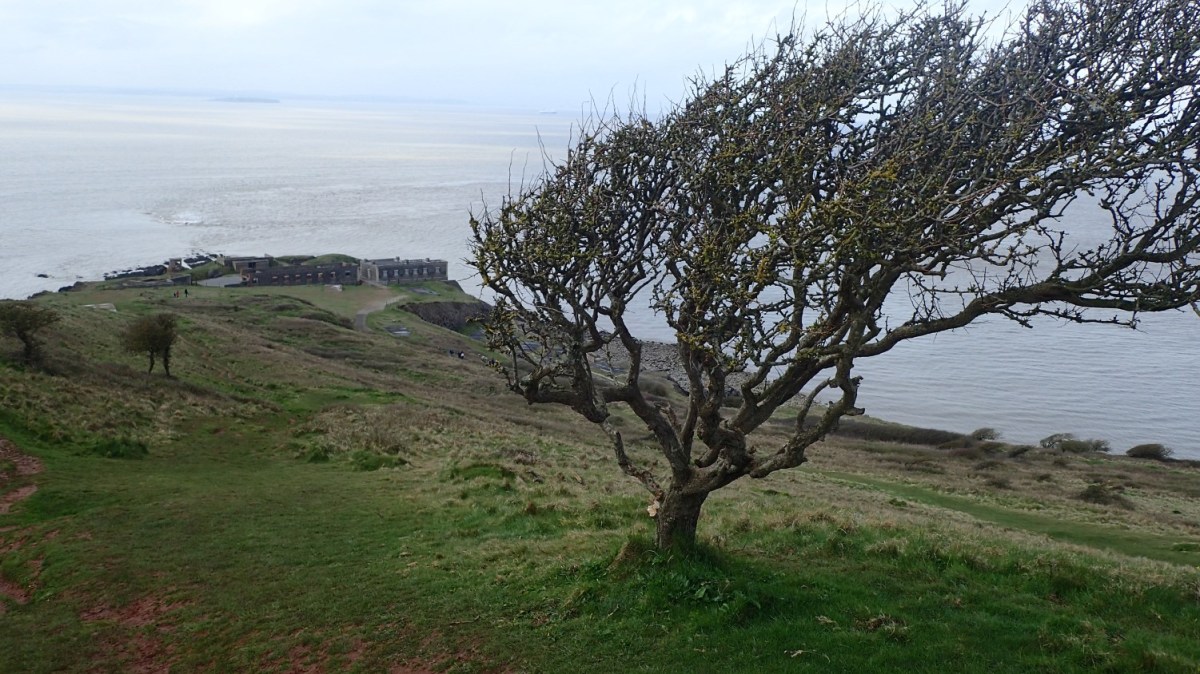 Brean Down – April&nbsp;2018
