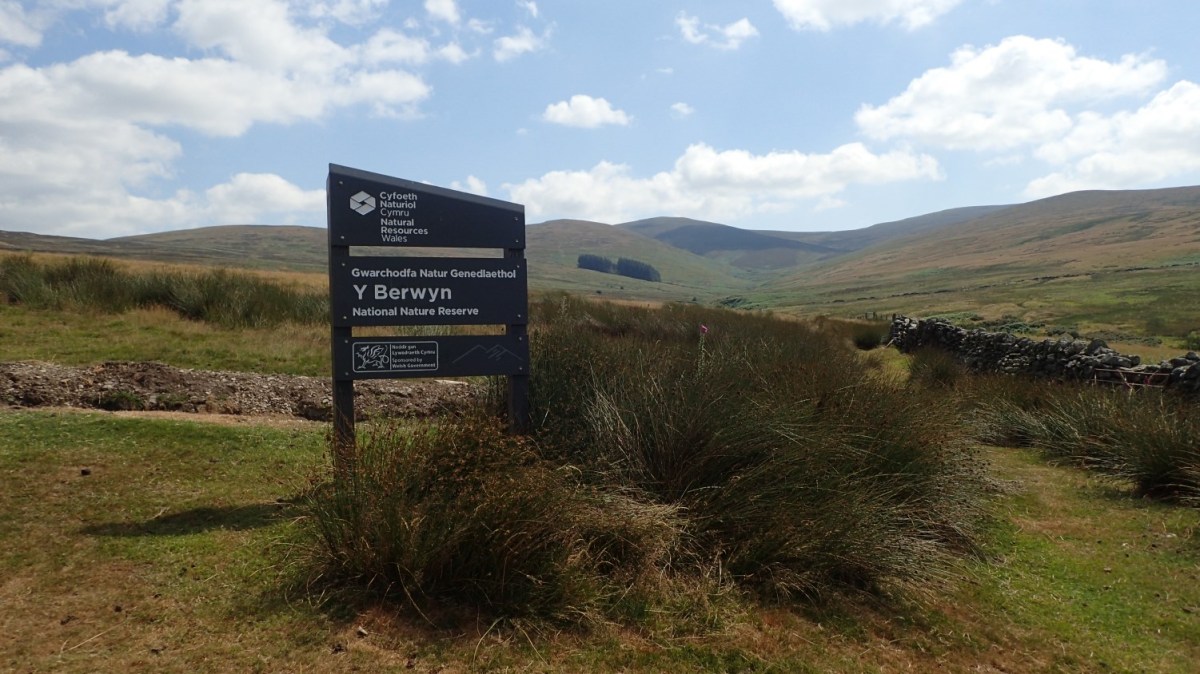 Berwyn Mountains Walk