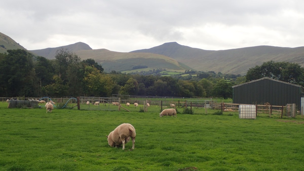 Braving Pen Y Fan (September&nbsp;2018)