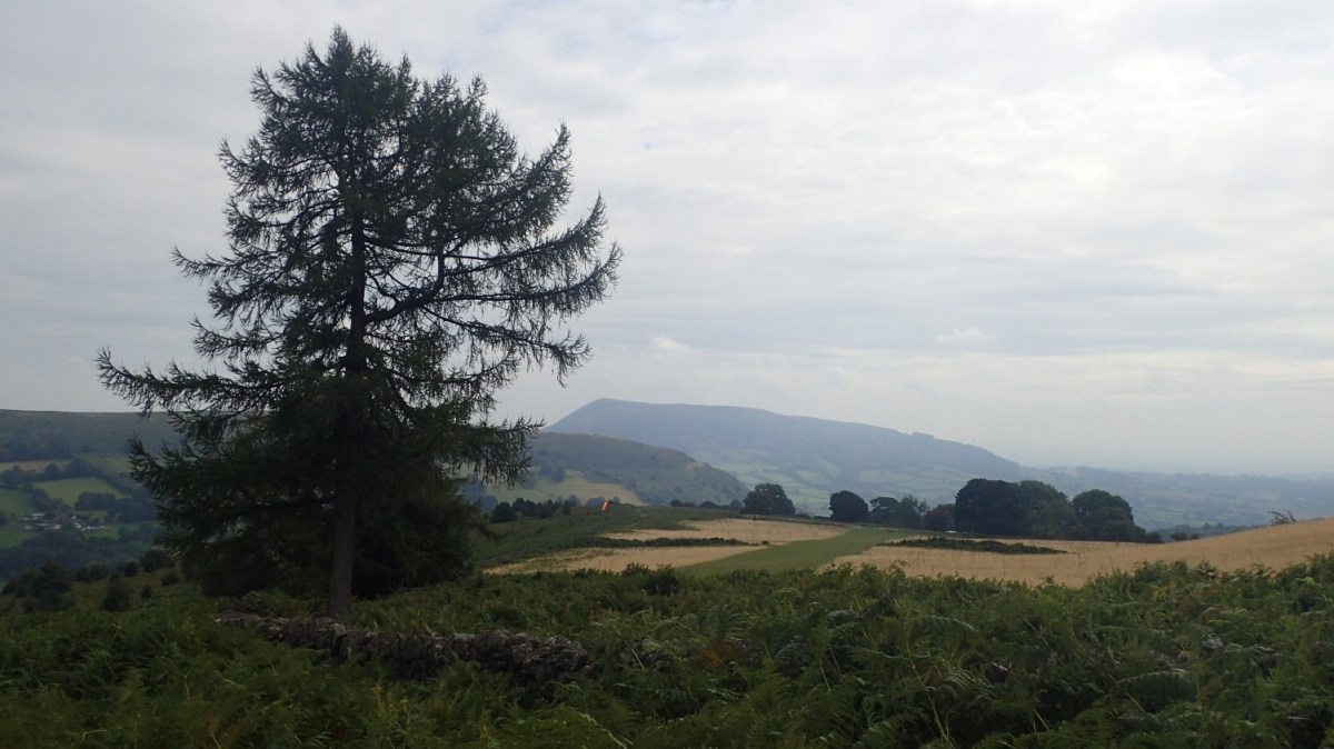 #walk1000miles – September&nbsp;2018