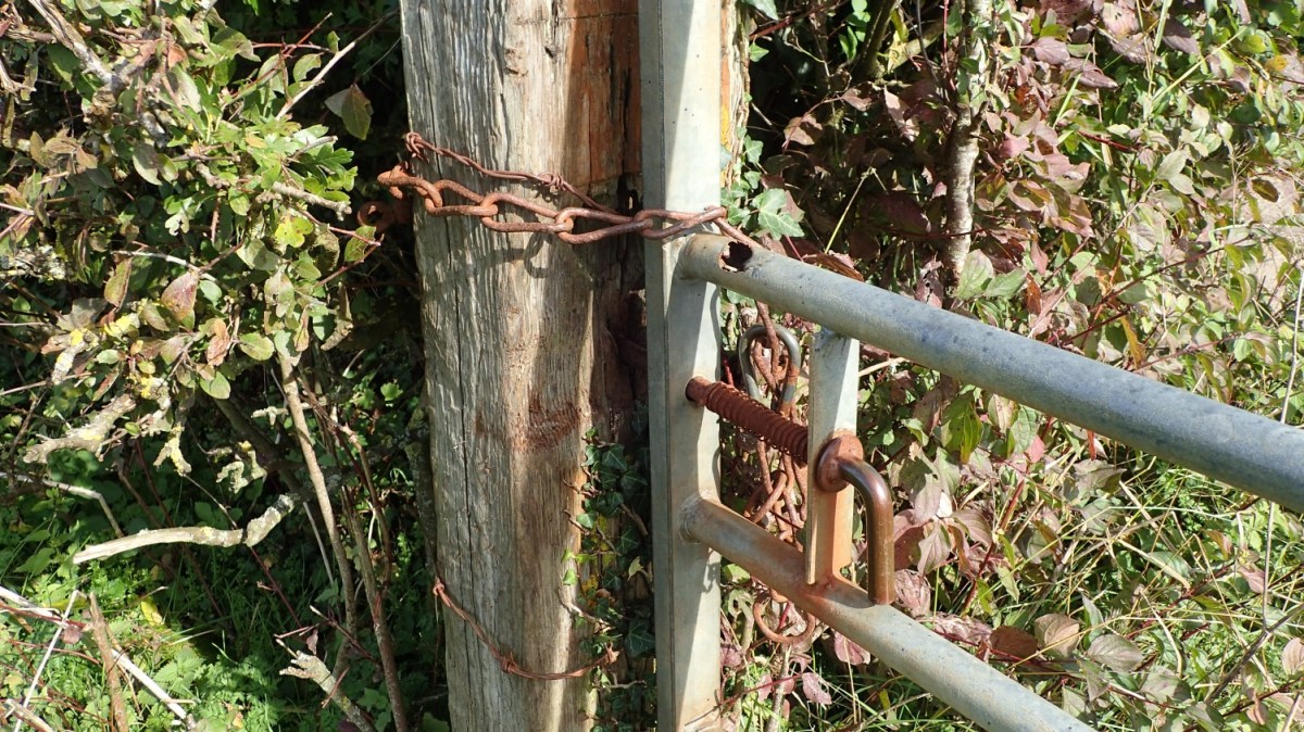 Encountering Footpath Obstructions