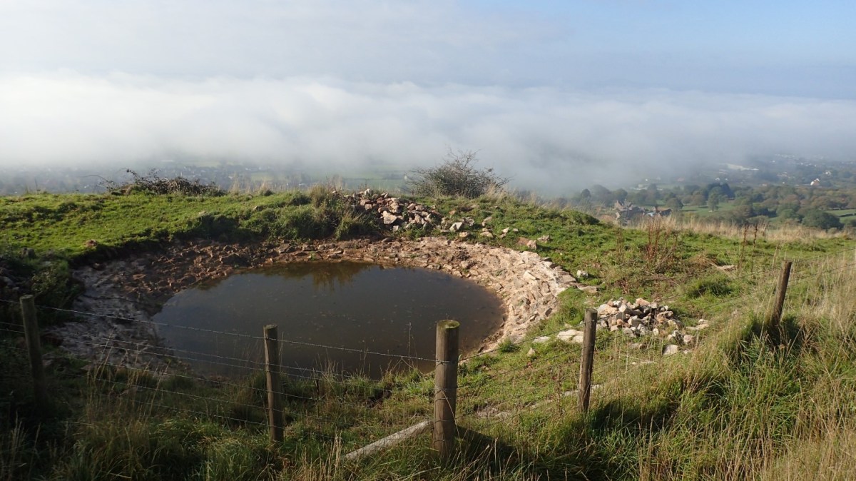 An Almost-Cloud Inversion