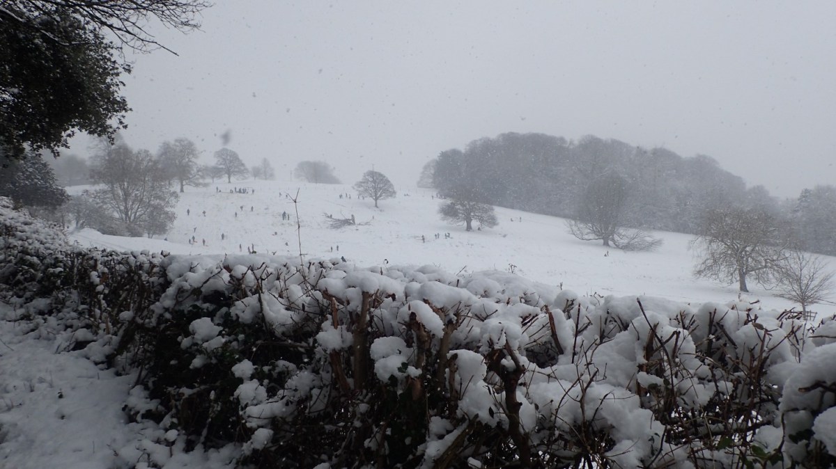 Snow in Wrington&nbsp;(01/02/2019)