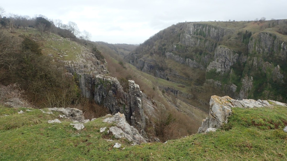 Monthly Miles: February&nbsp;2020