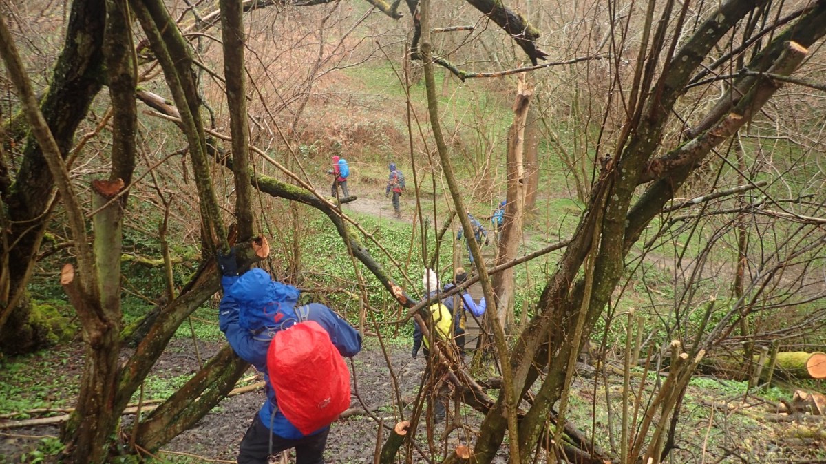 Monthly Miles: March&nbsp;2020