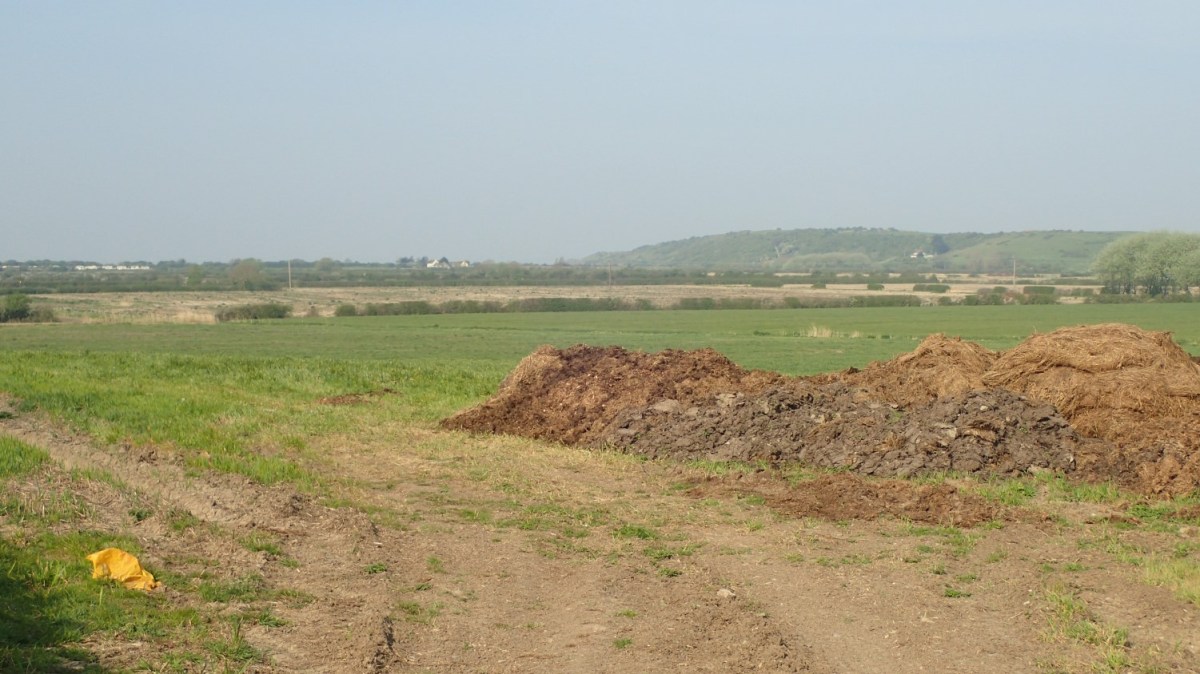 Lockdown Walk: Sand Point from&nbsp;Home