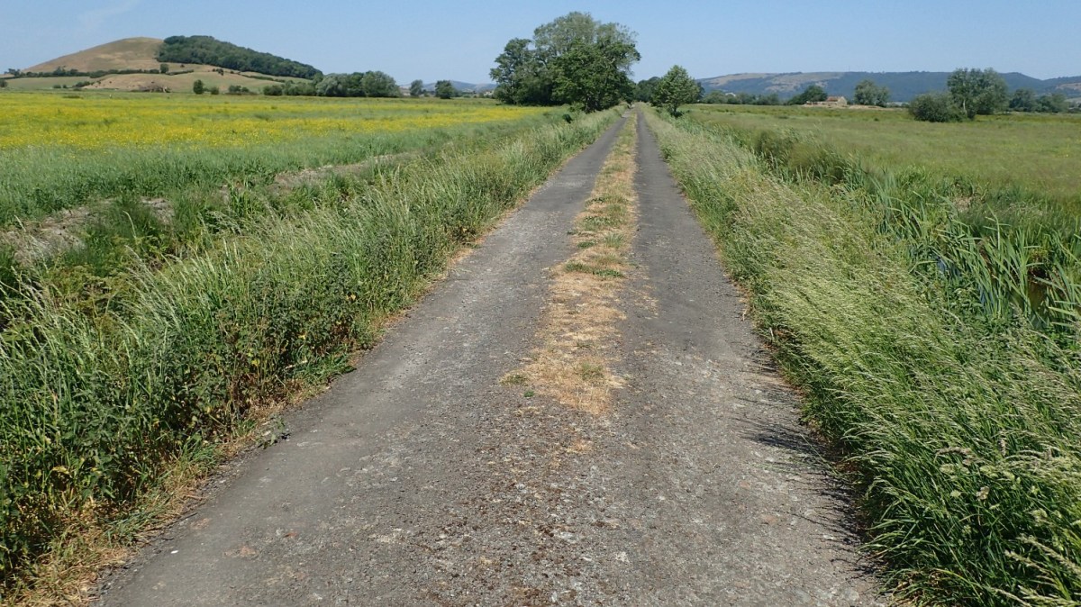 Wedmore Moor and Nyland&nbsp;Hill
