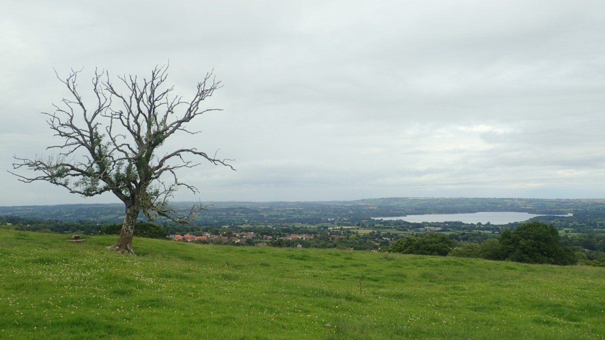 East Harptree Woods, Combe and Litton&nbsp;Reservoirs
