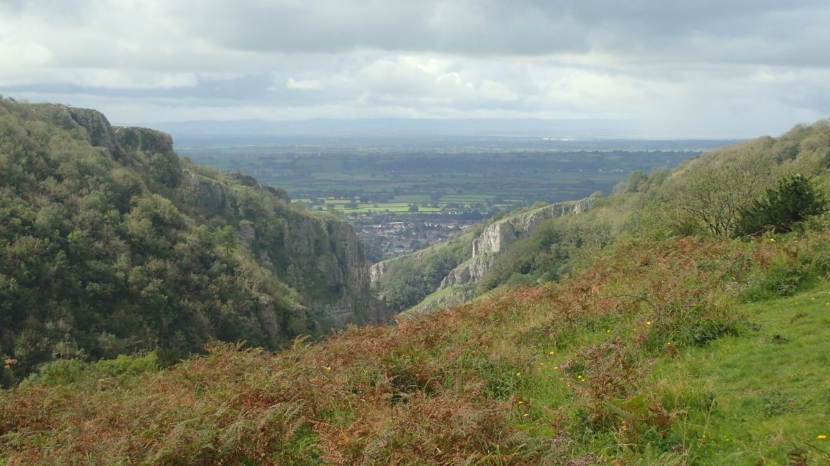 Monthly Miles: September&nbsp;2020