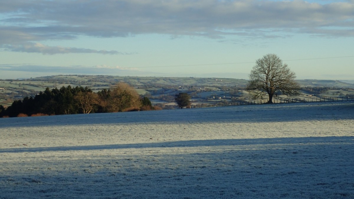 Monthly Miles: December&nbsp;2020