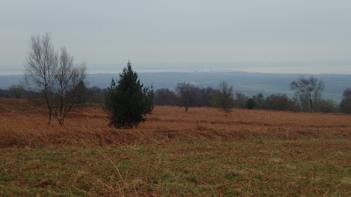 Wentwood and Gray&nbsp;Hill