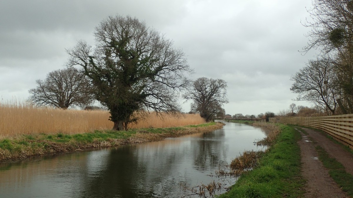 Somerset Levels: Creech St.&nbsp;Michael